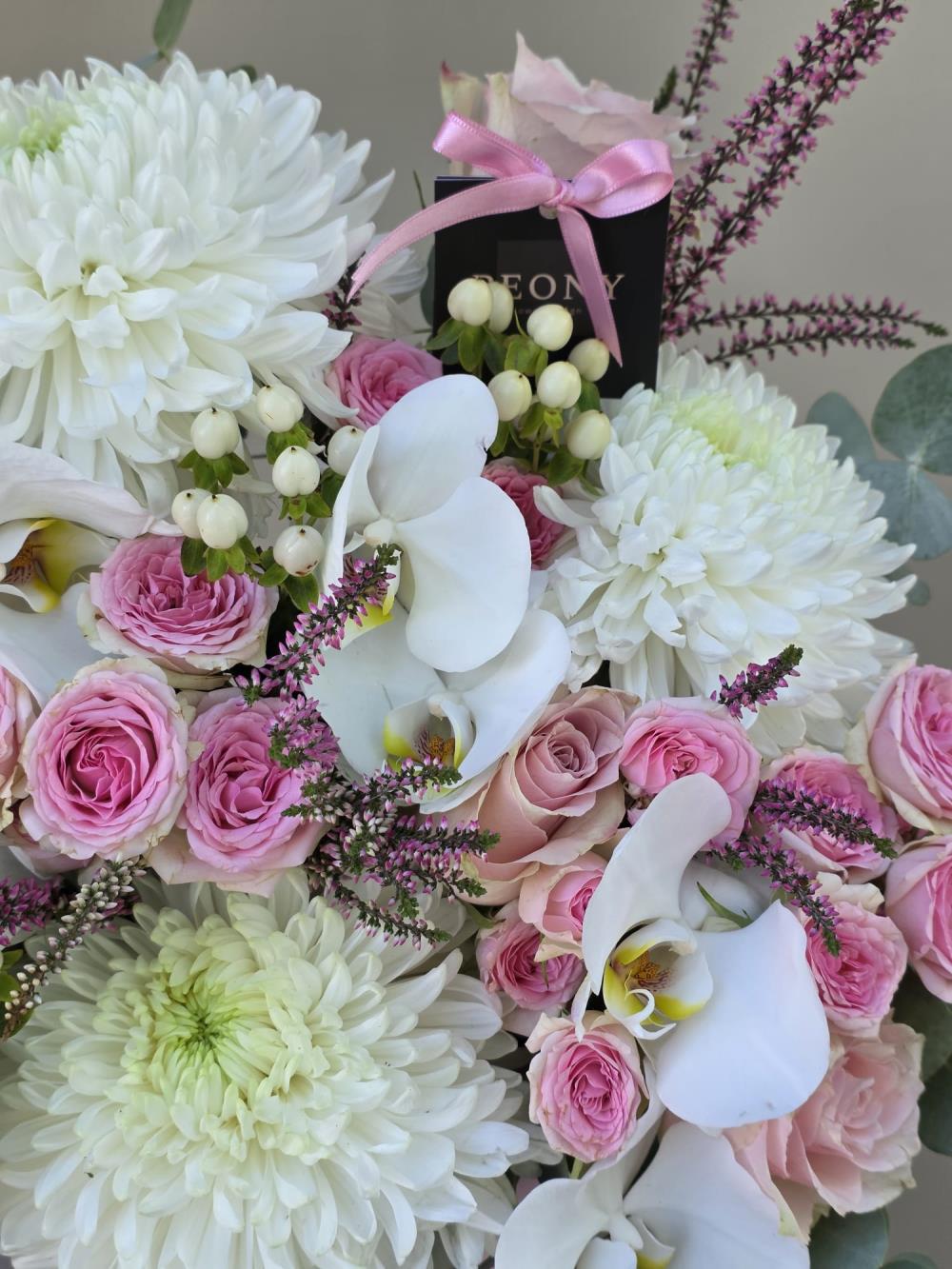 Dreamy Blossom Waltz 